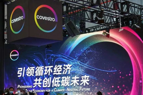 新投資 新合作 新訂單,這個(gè)進(jìn)博會(huì) 新朋友 超有料